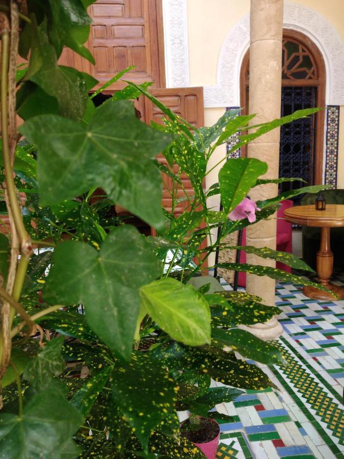 Riad Dar Zouhour